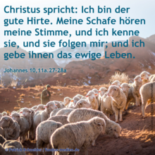 Wochenspruch Miserikordias Domini